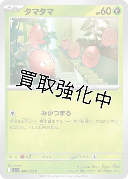 画像1: タマタマ 【C】{004?/?063} [M1L] (1)