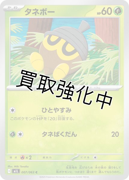 画像1: タネボー 【C】{007?/?063} [M1L] (1)