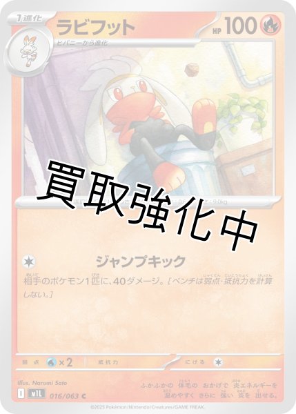 画像1: ラビフット 【C】{016?/?063} [M1L] (1)