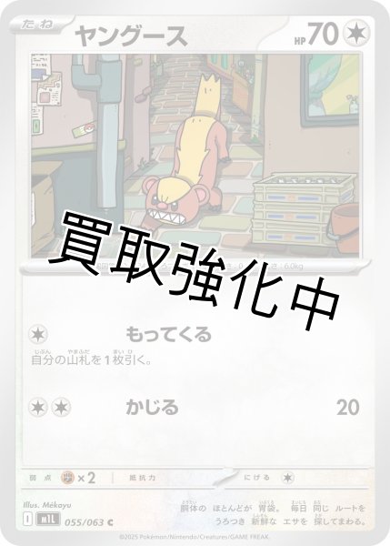 画像1: ヤングース 【C】{055?/?063} [M1L] (1)