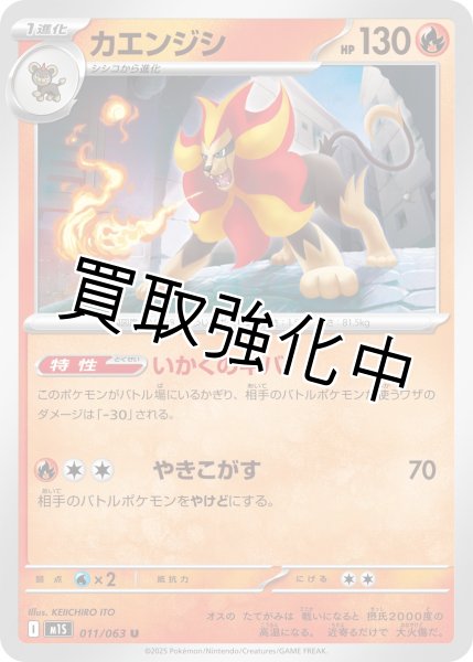 画像1: カエンジシ 【U】{011?/?063} [M1S] (1)