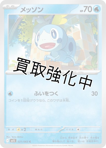 画像1: メッソン 【C】{021?/?063} [M1S] (1)