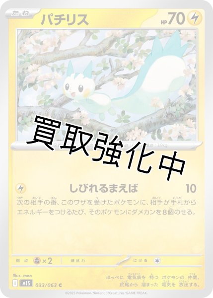 画像1: パチリス 【C】{033?/?063} [M1S] (1)