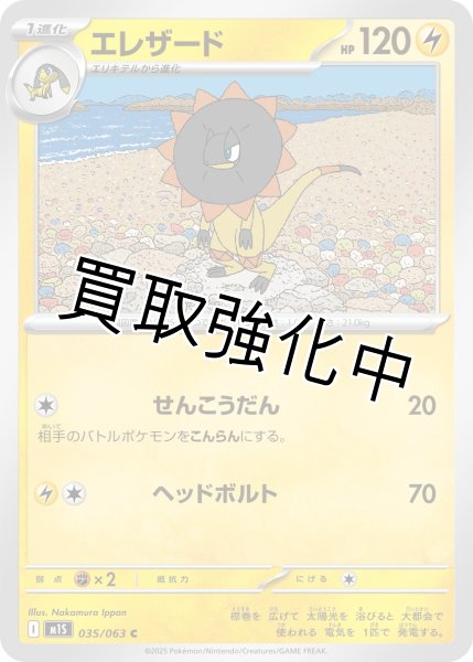 画像1: エレザード 【C】{035?/?063} [M1S] (1)