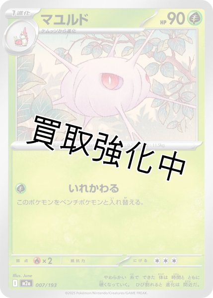 画像1: マユルド {007/193} [M2a] (1)