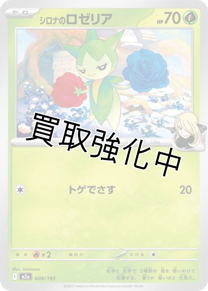 画像1: シロナのロゼリア {009/193} [M2a] (1)