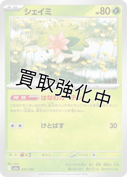 画像1: シェイミ {012/193} [M2a] (1)