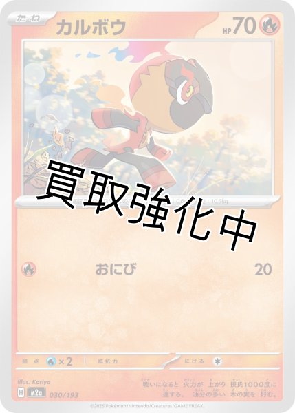 画像1: カルボウ {030/193} [M2a] (1)