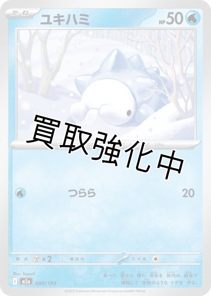 画像1: ユキハミ {040/193} [M2a] (1)