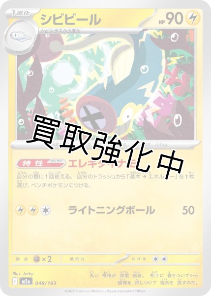 画像1: シビビール {048/193} [M2a] (1)