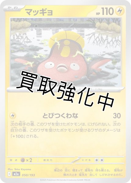 画像1: マッギョ {050/193} [M2a] (1)