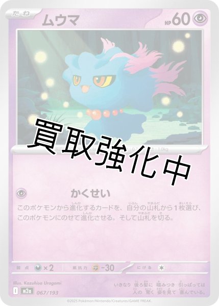 画像1: ムウマ {067/193} [M2a] (1)