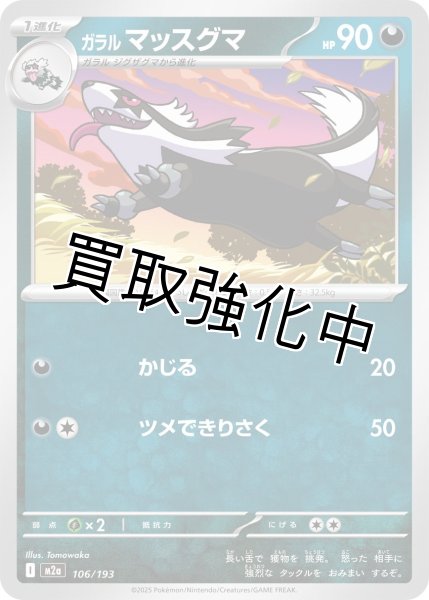 画像1: ガラル マッスグマ {106/193} [M2a] (1)