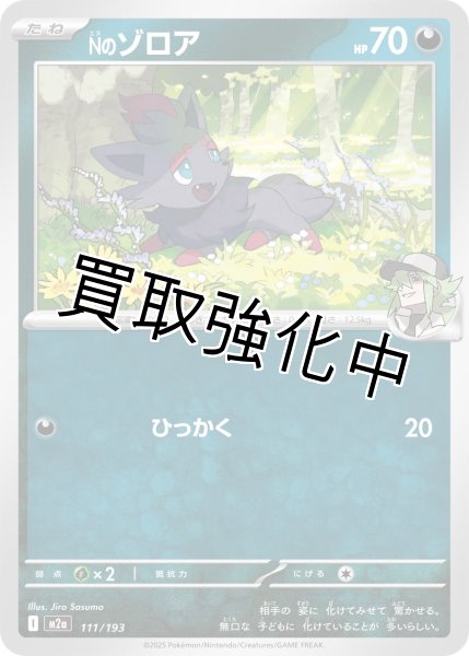 画像1: Nのゾロア {111/193} [M2a] (1)