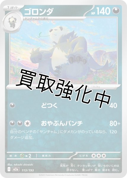 画像1: ゴロンダ {113/193} [M2a] (1)