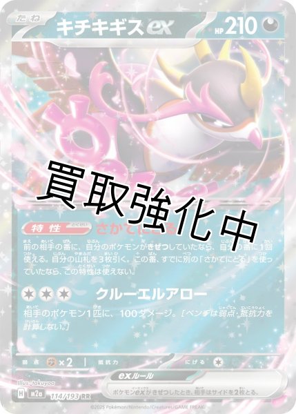 画像1: キチキギスex 【RR】{114/193} [M2a] (1)