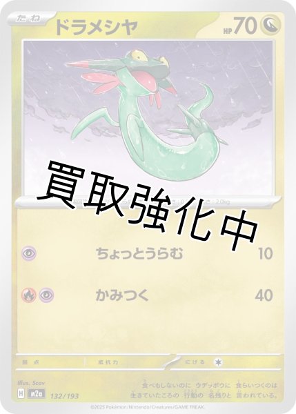 画像1: ドラメシヤ {132/193} [M2a] (1)