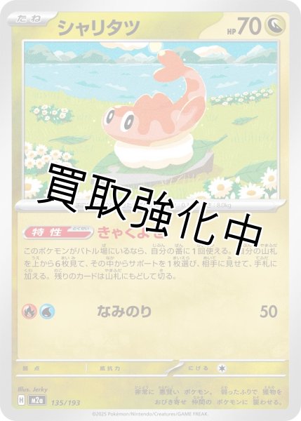 画像1: シャリタツ {135/193} [M2a] (1)