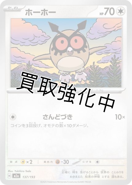 画像1: ホーホー {137/193} [M2a] (1)