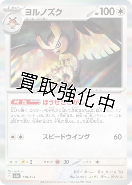 画像1: ヨルノズク {138/193} [M2a] (1)