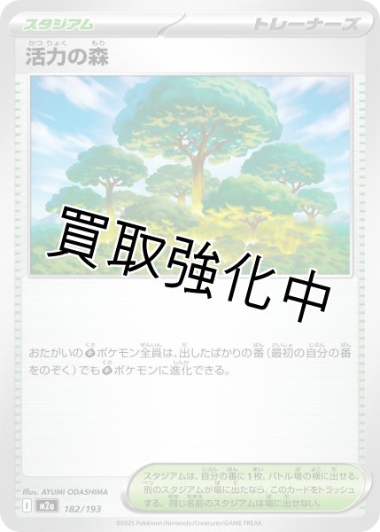 画像1: 活力の森 {182/193} [M2a] (1)