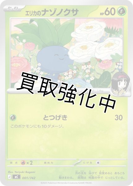 画像1: エリカのナゾノクサ {001/742} [MC] (1)