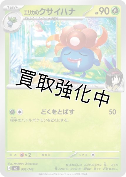 画像1: エリカのクサイハナ {002/742} [MC] (1)