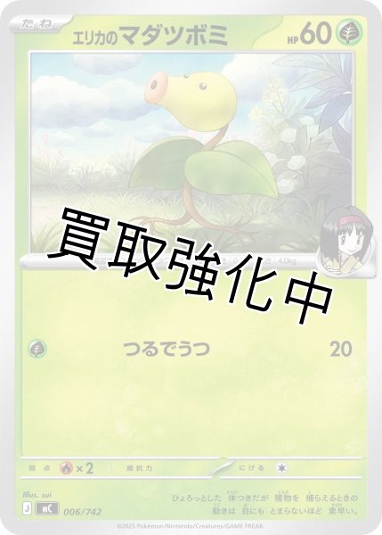 画像1: エリカのマダツボミ {006/742} [MC] (1)