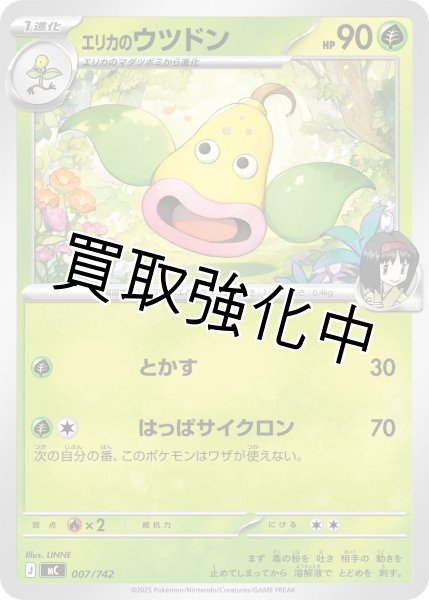 画像1: エリカのウツドン {007/742} [MC] (1)