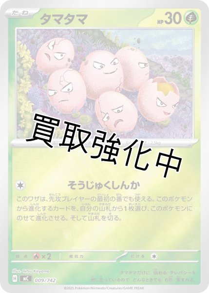 画像1: タマタマ {009/742} [MC] (1)