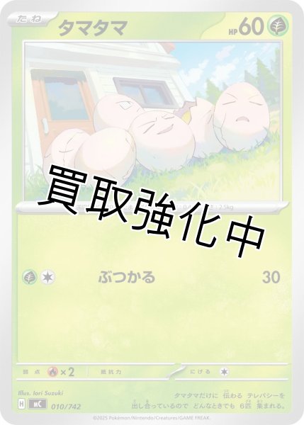 画像1: タマタマ {010/742} [MC] (1)