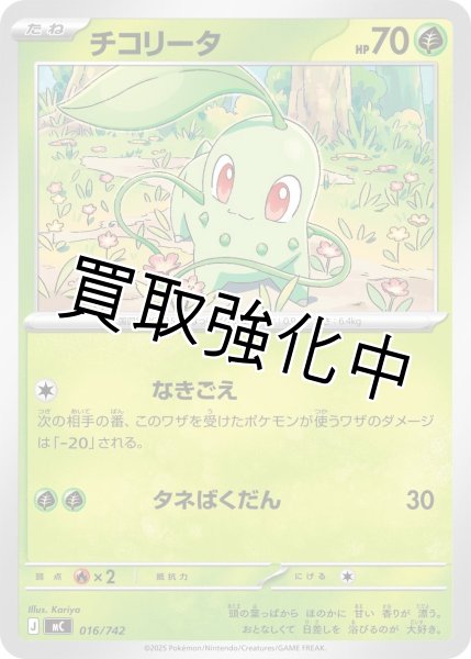 画像1: チコリータ {016/742} [MC] (1)