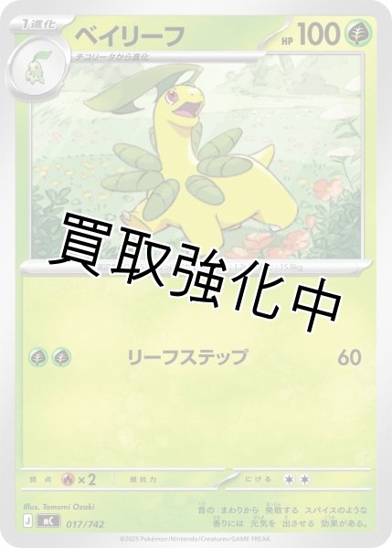 画像1: ベイリーフ {017/742} [MC] (1)