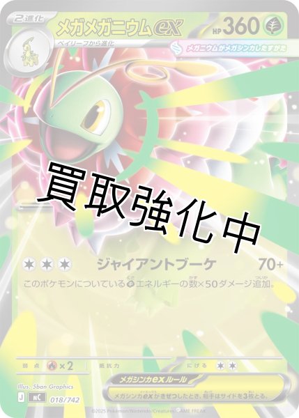 画像1: メガメガニウムex {018/742} [MC] (1)