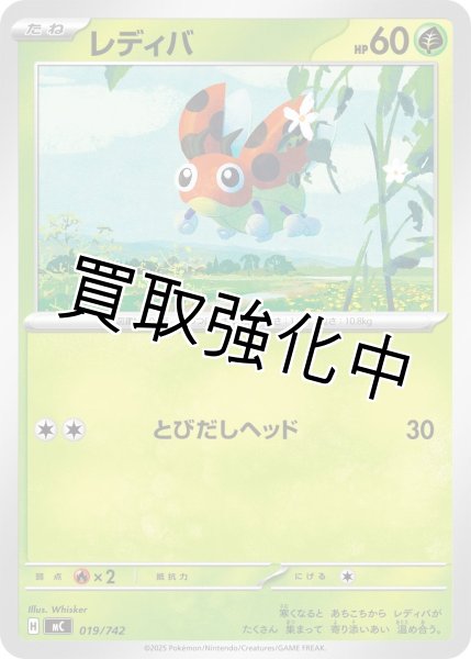 画像1: レディバ {019/742} [MC] (1)