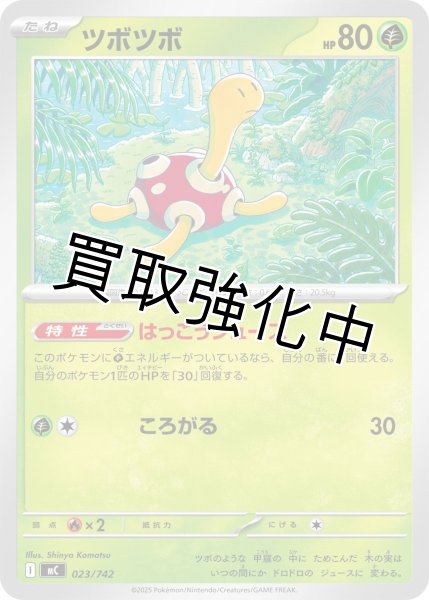 画像1: ツボツボ {023/742} [MC] (1)