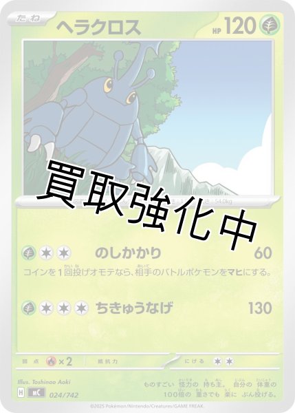 画像1: ヘラクロス {024/742} [MC] (1)