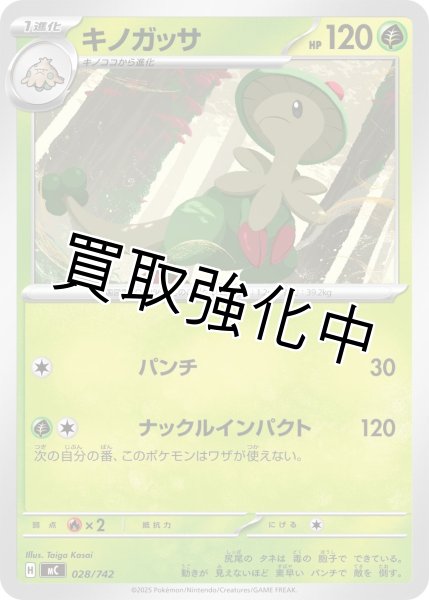 画像1: キノガッサ {028/742} [MC] (1)