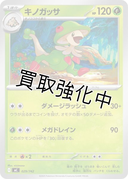 画像1: キノガッサ {029/742} [MC] (1)