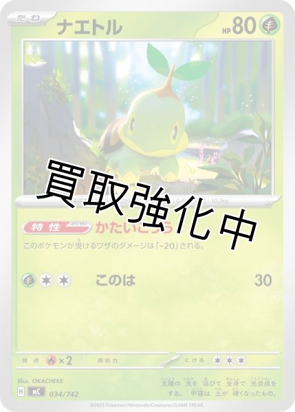 画像1: ナエトル {034/742} [MC] (1)