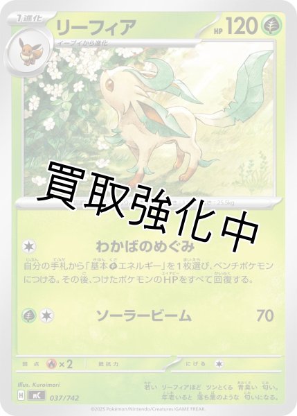 画像1: リーフィア {037/742} [MC] (1)