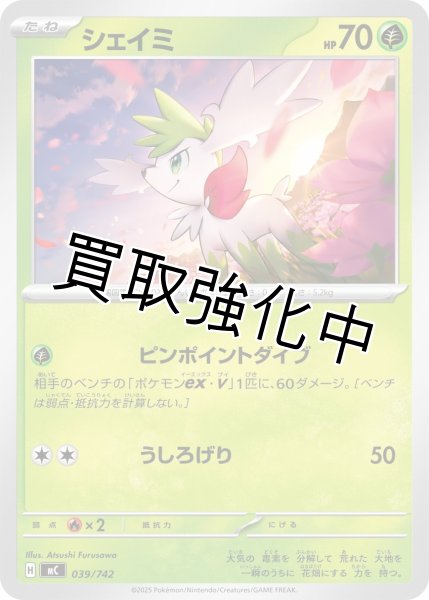 画像1: シェイミ {039/742} [MC] (1)