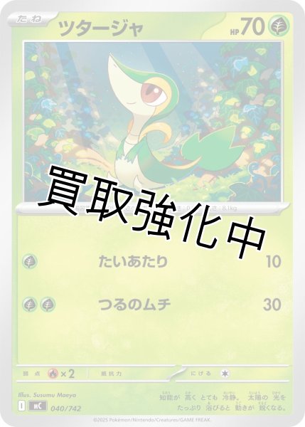 画像1: ツタージャ {040/742} [MC] (1)