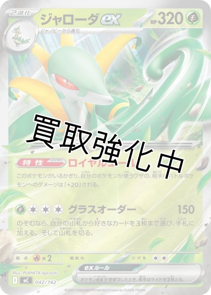 画像1: ジャローダex {042/742} [MC] (1)