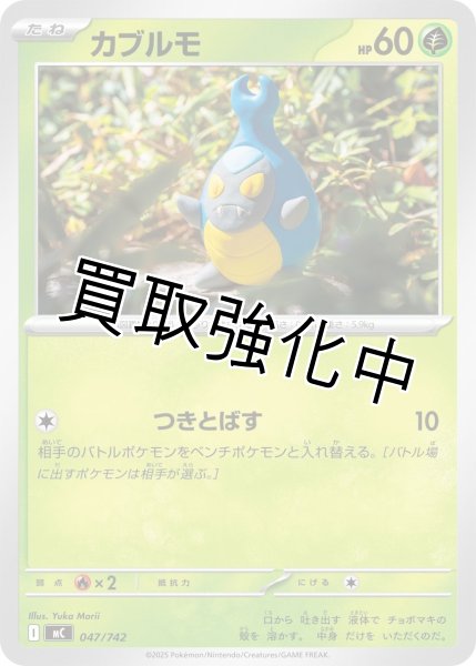 画像1: カブルモ {047/742} [MC] (1)