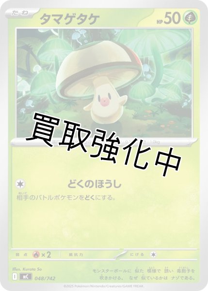 画像1: タマゲタケ {048/742} [MC] (1)