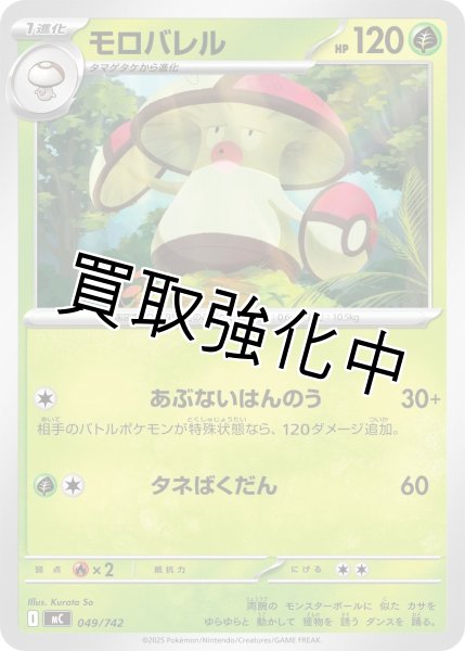 画像1: モロバレル {049/742} [MC] (1)