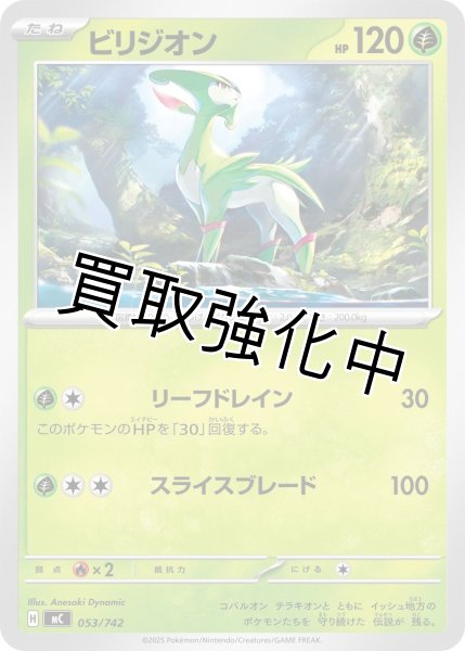 画像1: ビリジオン {053/742} [MC] (1)