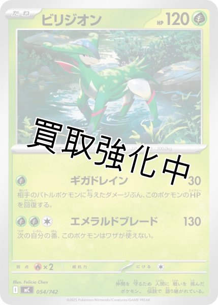 画像1: ビリジオン {054/742} [MC] (1)