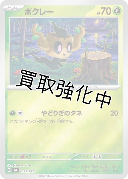 画像1: ボクレー {055/742} [MC] (1)